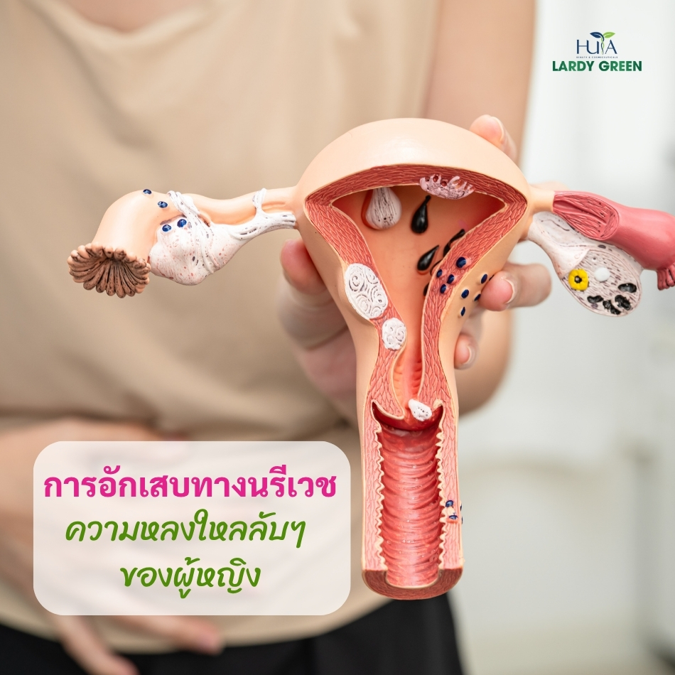 องค์รวมเกี่ยวกับสุขภาพภายในผู้หญิงยุคใหม่