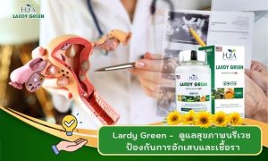Lardy Green – ดูแลสุขภาพนรีเวช ป้องกันการอักเสบและเชื้อรา