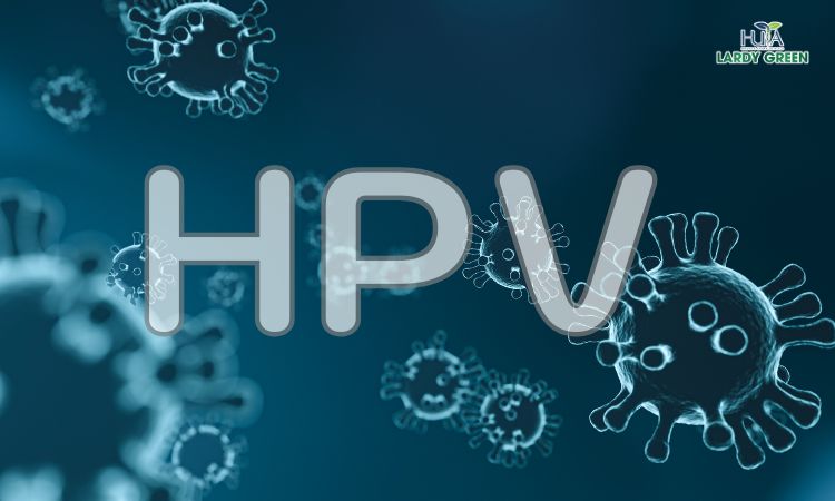 เชื้อไวรัส HPV เป็นสาเหตุสำคัญที่ทำให้เกิดมะเร็งปากมดลูก