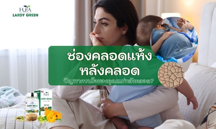 ช่องคลอดแห้งหลังคลอด