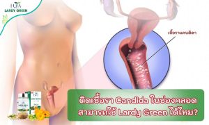 ติดเชื้อรา Candida ในช่องคลอด สามารถใช้ Lardy Green ได้ไหม?